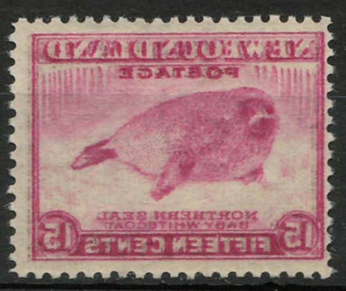 Lot 95 Newfoundland #262i NH 1941/1944 Offset Image on Gum Side