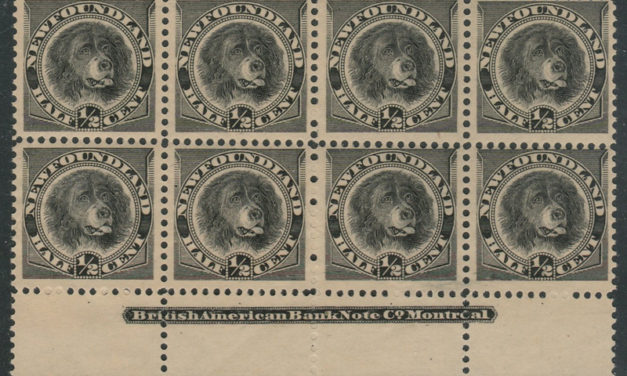 Newfoundland #58 1894 1/2c Black Imprint Block (8)