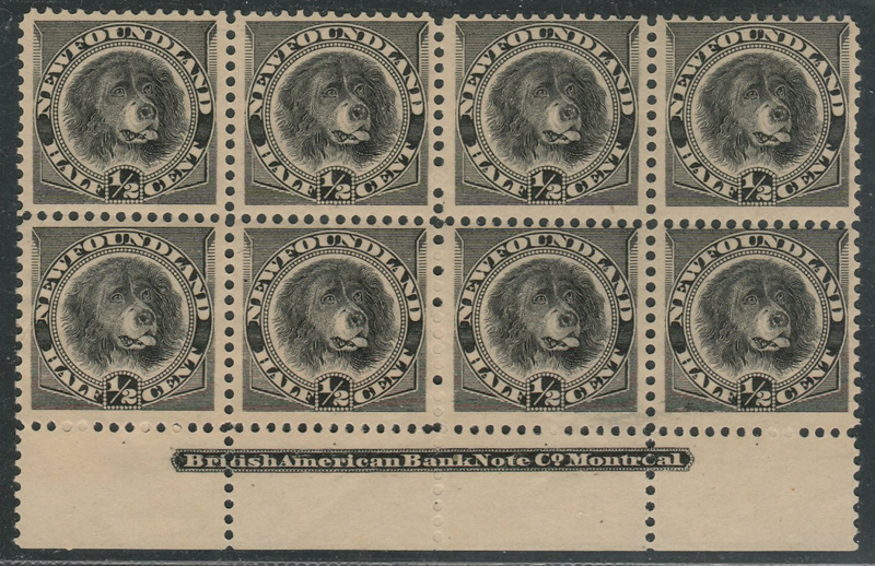 Newfoundland #58 block of 8