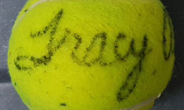 Tracy Austin Signed Tennis Ball