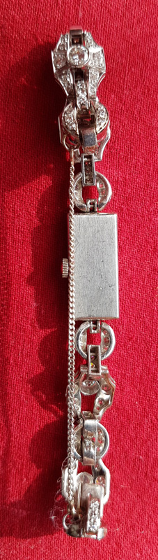 back of the watch and strap