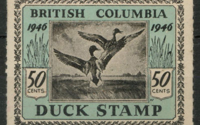 British Columbia #BCD1 1946 50c Duck first issue