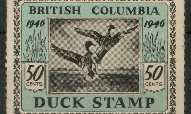 British Columbia #BCD1 1946 50c Duck first issue