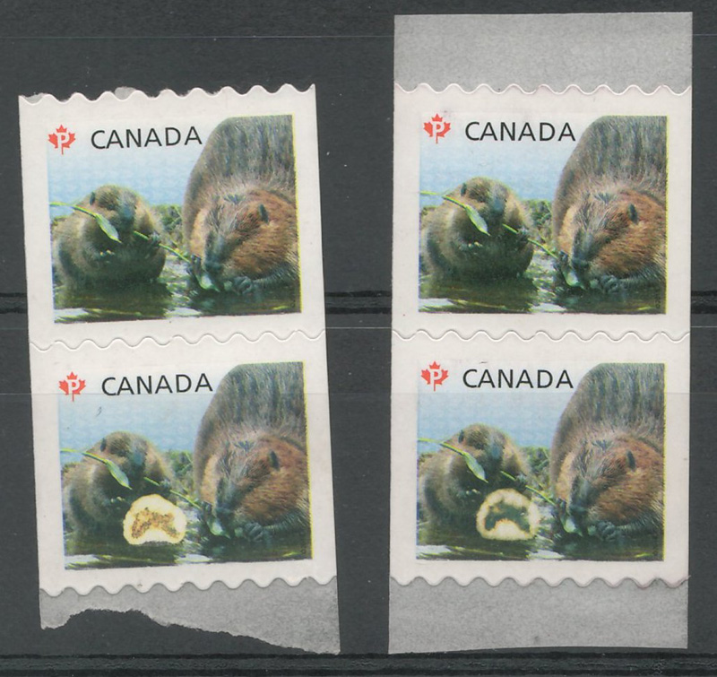 Two sets of 2 stamps from coil each with 2 gnawing beavers, one with variety