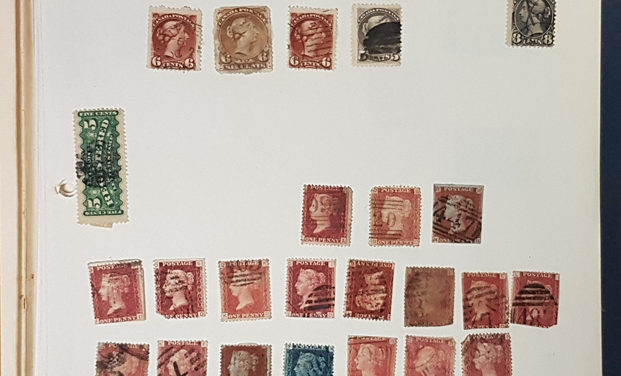Canada & World fabulous Mint & Used in Scott album (100s)