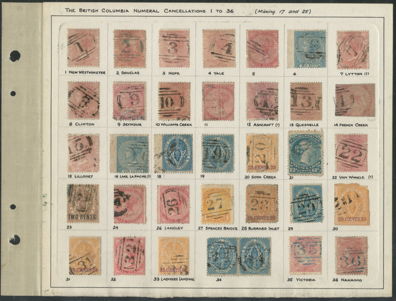Page from Wellburn's album