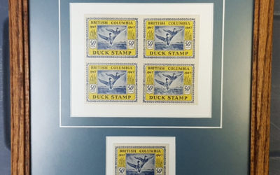 British Columbia framed Mint 1947 50c Duck Block & single incl error