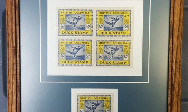 British Columbia framed Mint 1947 50c Duck Block & single incl error