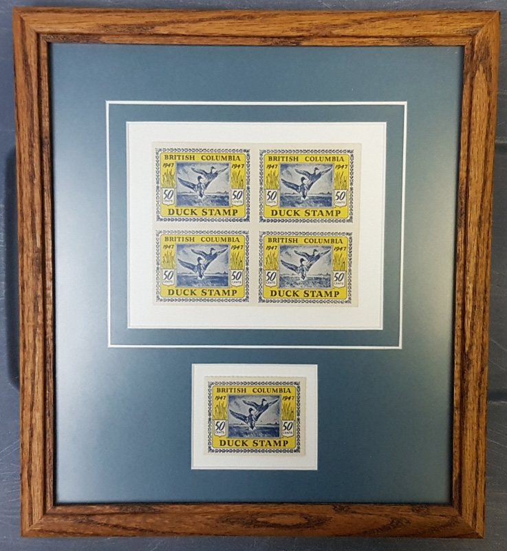 duck stamps, framed