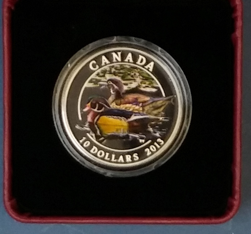 coin in case 