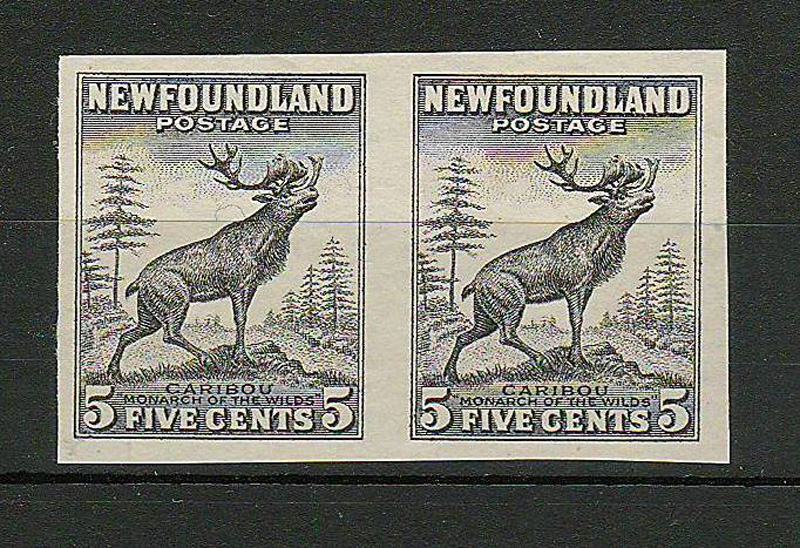 5c Black Proof Pair