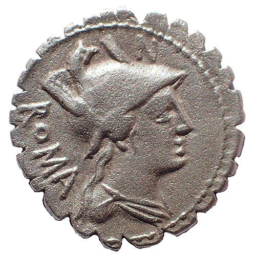obverse bust
