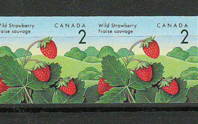 Canada #1350a VFNH 1992 2c Strawberry Imperforate Pair