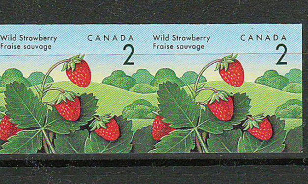 Canada #1350a VFNH 1992 2c Strawberry Imperforate Pair