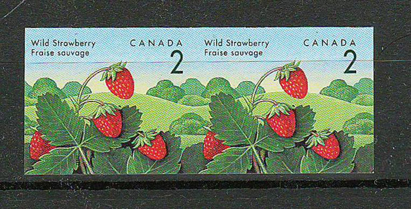 strawberry stamps