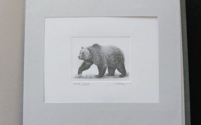 Canada Post #1694 Never Hinged artist-signed $8 Grizzly #1426/2500