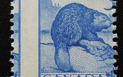Canada #336 Never Hinged 1954 5c Beaver Misperf, ex Penko