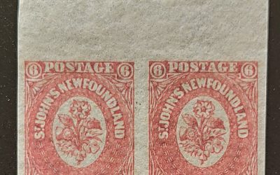 Newfoundland #20, 20i VFNH 6d Pair w/ and without Watermark
