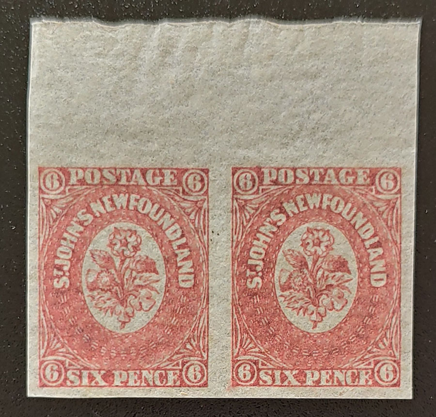 Newfoundland #20, 20i VFNH 6d Pair w/ & without Watermark $180