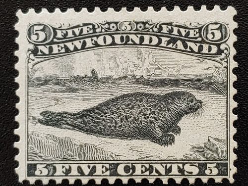 Newfoundland #26 Fine+ Unused 5c Black, Harp Seal