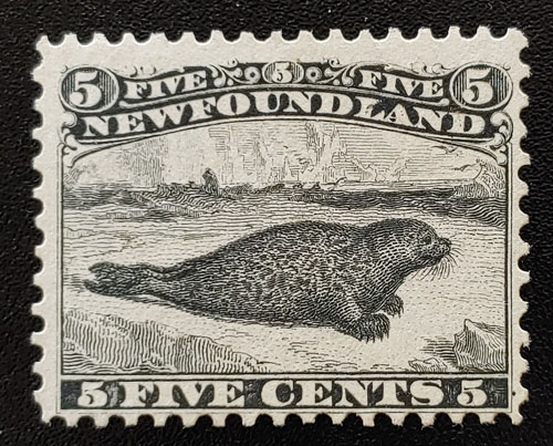 Newfoundland #26 Fine+ Unused 5c Black, Harp Seal $300