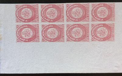 Newfoundland #23 VF stamps NH 1861/1862 1/- Sht Margin Block (8)
