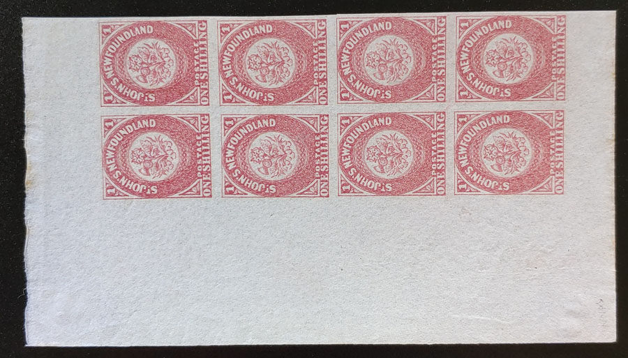 Newfoundland #23 VF stamps NH 1861/1862 1/- Sht Margin Block (8)
