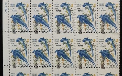U.S.A. #C71 Never Hinged 1967 20c Audubon Misperf Plate Block (15)