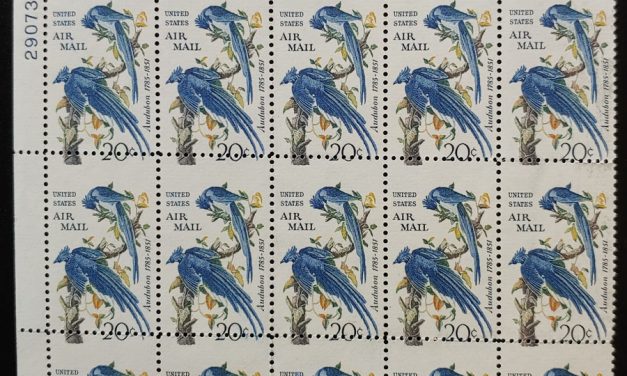 U.S.A. #C71 Never Hinged 1967 20c Audubon Misperf Plate Block (15)