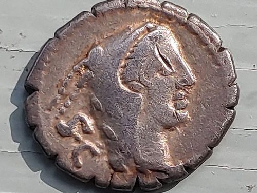 Roman Republic 80 BC L. Procillus 3.77gm Silver Denarius w/ Juno Sospita