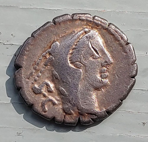 Roman Republic 80 BC L. Procillus 3.77gm Silver Denarius w/ Juno Sospita, wearing a goat's skin headdress, with S C behind. test cut