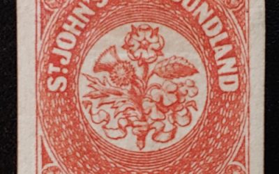 Newfoundland #8 VF Mint HR 1857 8d Vermilion
