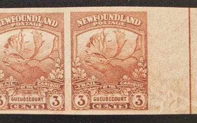 Newfoundland #117a VF Unused 1919 3c Imperforate Pair ngai