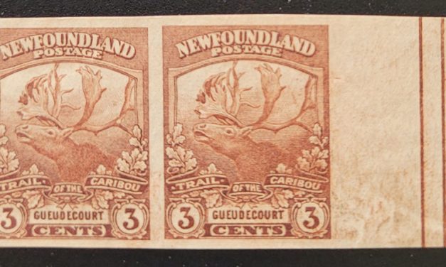 Newfoundland #117a VF Unused 1919 3c Imperforate Pair ngai