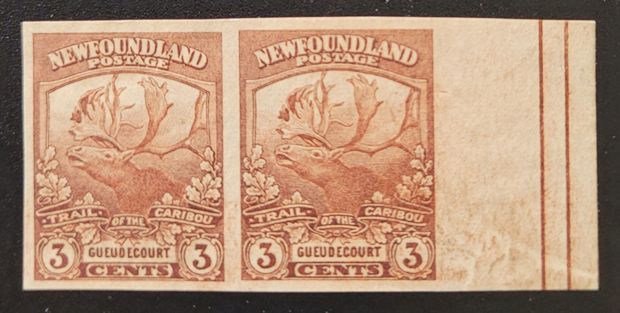 Newfoundland #117a VF Unused 1919 3c Imperforate Pair ngai $375