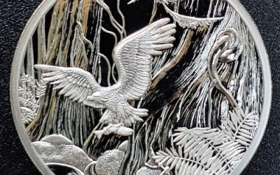 Canada Proof 2005 pure Silver Pacific Rim Park