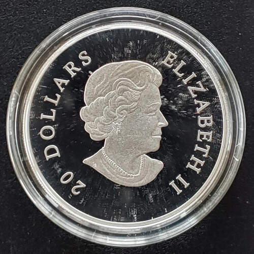 Canada Proof 2009 pure Silver Blue Crystal Snowflake $20