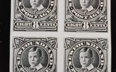 Newfoundland #110P VF 1911 8c Black Plate Proof Block on india (4)