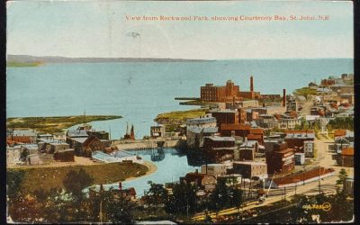 North Sydney, N.S. 23 Jul 1924 Tri-colour 6c Admiral Postcard to France