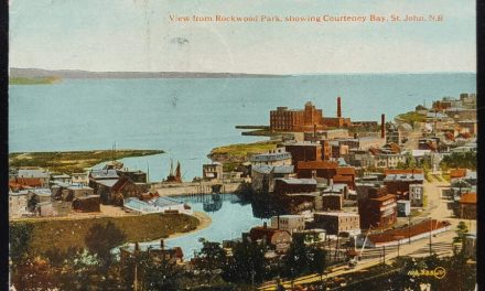 North Sydney, N.S. 23 Jul 1924 Tri-colour 6c Admiral Postcard to France