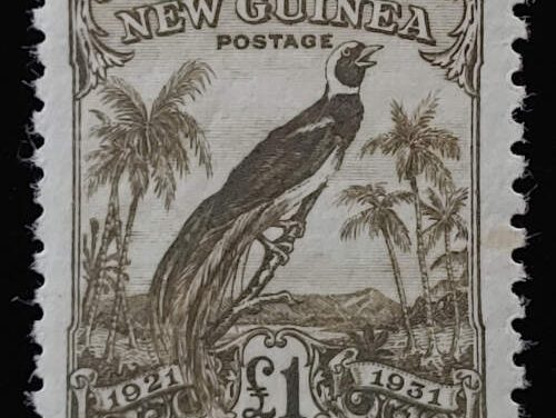 New Guinea #30 Fine+ Mint 1931 Bird of Paradise Pound