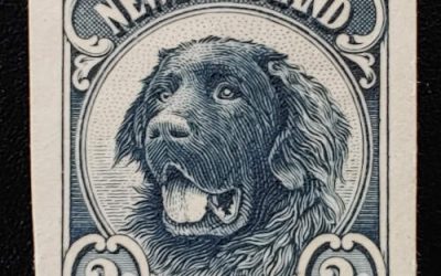 Newfoundland VF 1922 2c Blue Plate Essay first we have handled