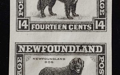 Newfoundland #194P VF 1932 14c Black Plate Proof Pair
