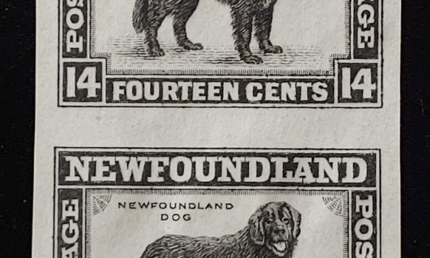 Newfoundland #194P VF 1932 14c Black Plate Proof Pair