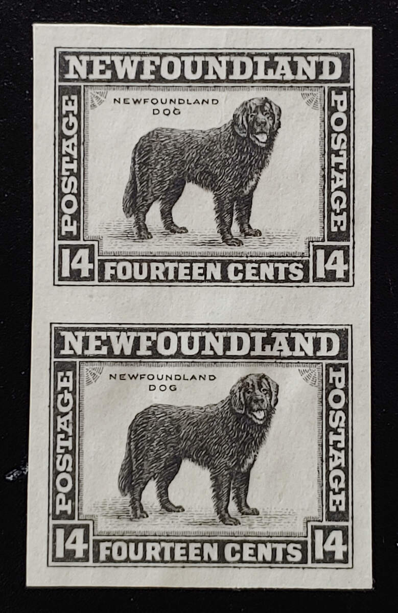 Newfoundland #194P VF 1932 14c Black Plate Proof Pair US$520