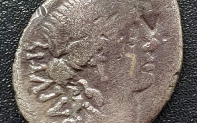 Man. Acilous Glabrio 49 BC 18mm 3.4gm Silver Denarius w/ Salus etc