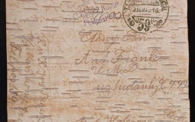 Austria Hungary 1916 Feldpost Tree Bark Postcard