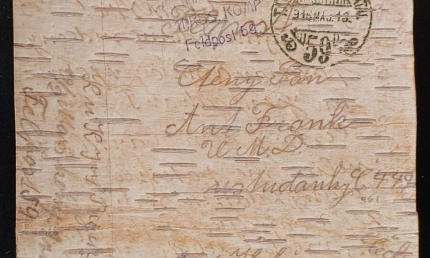 Austria Hungary 1916 Feldpost Tree Bark Postcard