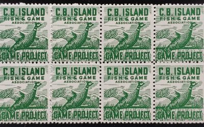 Nova Scotia #NSG1g Never Hinged 1953 Block incl Vars (8)