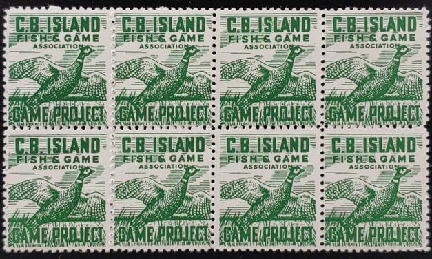 Nova Scotia #NSG1g Never Hinged 1953 Block incl Vars (8)